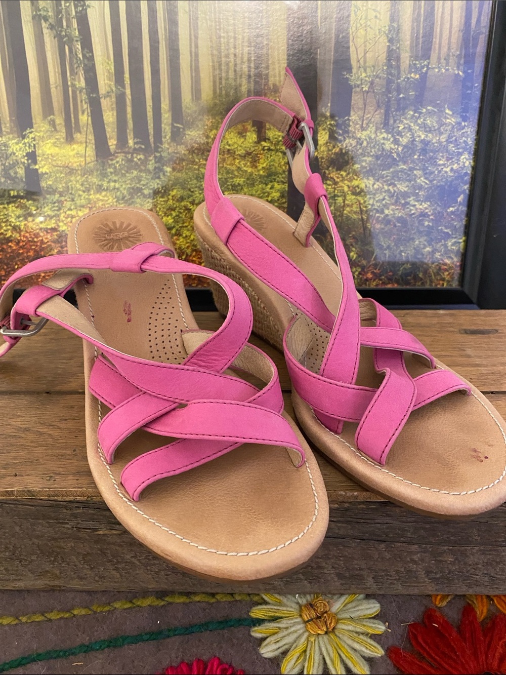 UGG Dark Pink Strappy Wedge Sandals, has nail polish stain , solid sandals